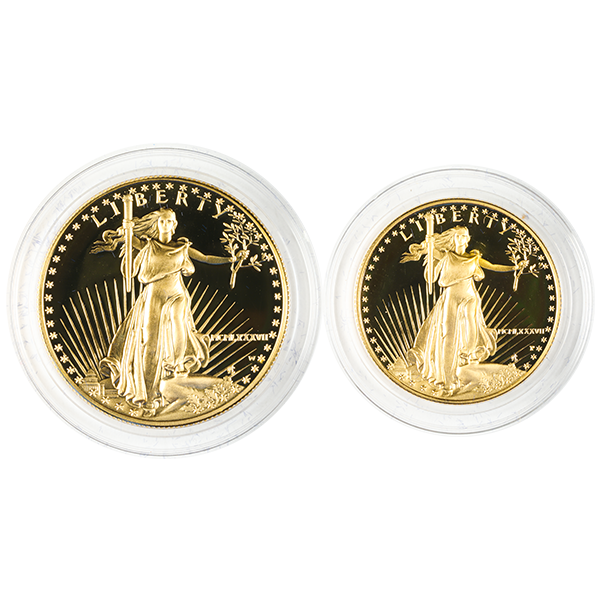 2 PIECE AMERICAN GOLD EAGLE SET PROOF (CAPSULE ONLY)