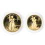 2 PIECE AMERICAN GOLD EAGLE SET PROOF (CAPSULE ONLY)