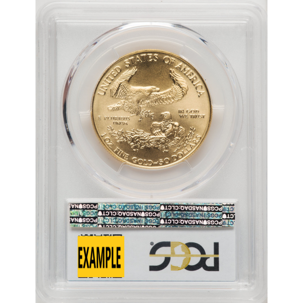 AMERICAN GOLD EAGLE NGC AND PCGS - 1 OZ AMERICAN GOLD EAGLE PCGS MS69 - 1GEP69