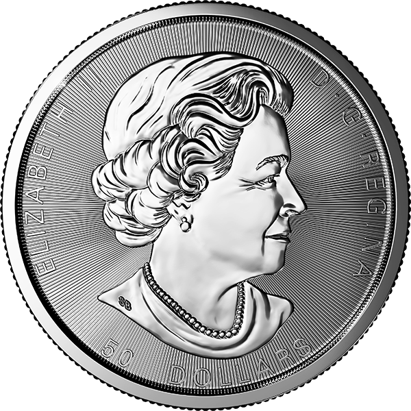 CANADIAN SILVER - 2017 10 OZ CANADIAN SILVER MAPLE LEAF - 10SML17