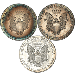1 oz American Silver Eagle (Imperfect Condition)