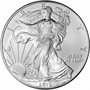 2025 1 OZ AMERICAN SILVER EAGLE