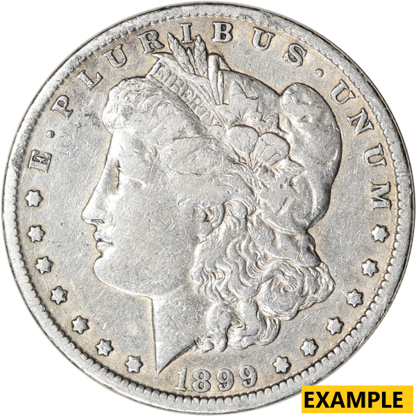 SILVER DOLLARS - AMERICAN SILVER MORGAN DOLLAR VERY GOOD DETAILS - SDMOVGLP